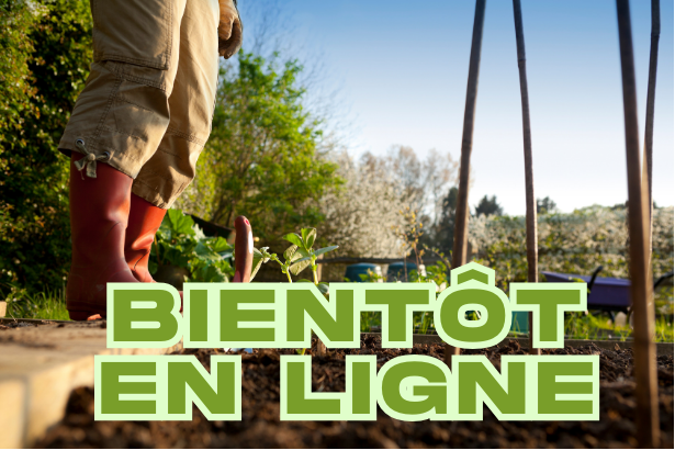 Votre Texte De Paragraphe